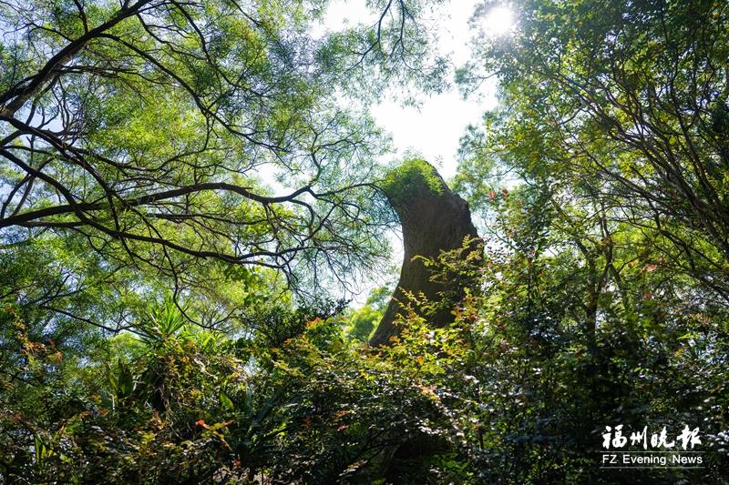 寻访“吴航十二景”中的千年文脉